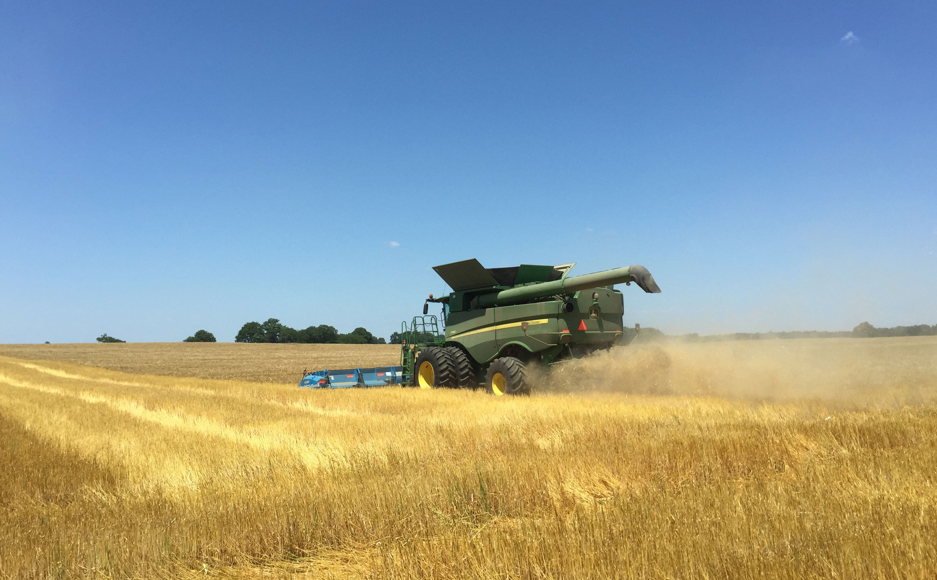 Photo of a wheat field with harvesting machinery