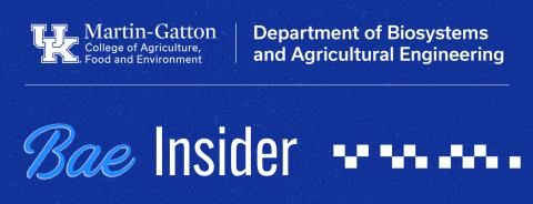 BAE Insider newsletter header