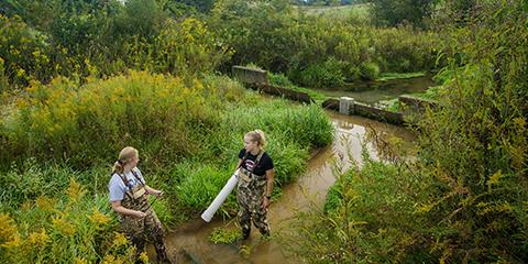 photo of graduate students working on a stream restoration project